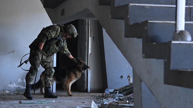 Военнослужащий группы разминирования международного противоминного центра ВС РФ со служебной собакой производит разминирование мариупольского аэропорта Военнослужащий группы разминирования международного противоминного центра ВС РФ со служебной собакой производит разминирование мариупольского аэропорта