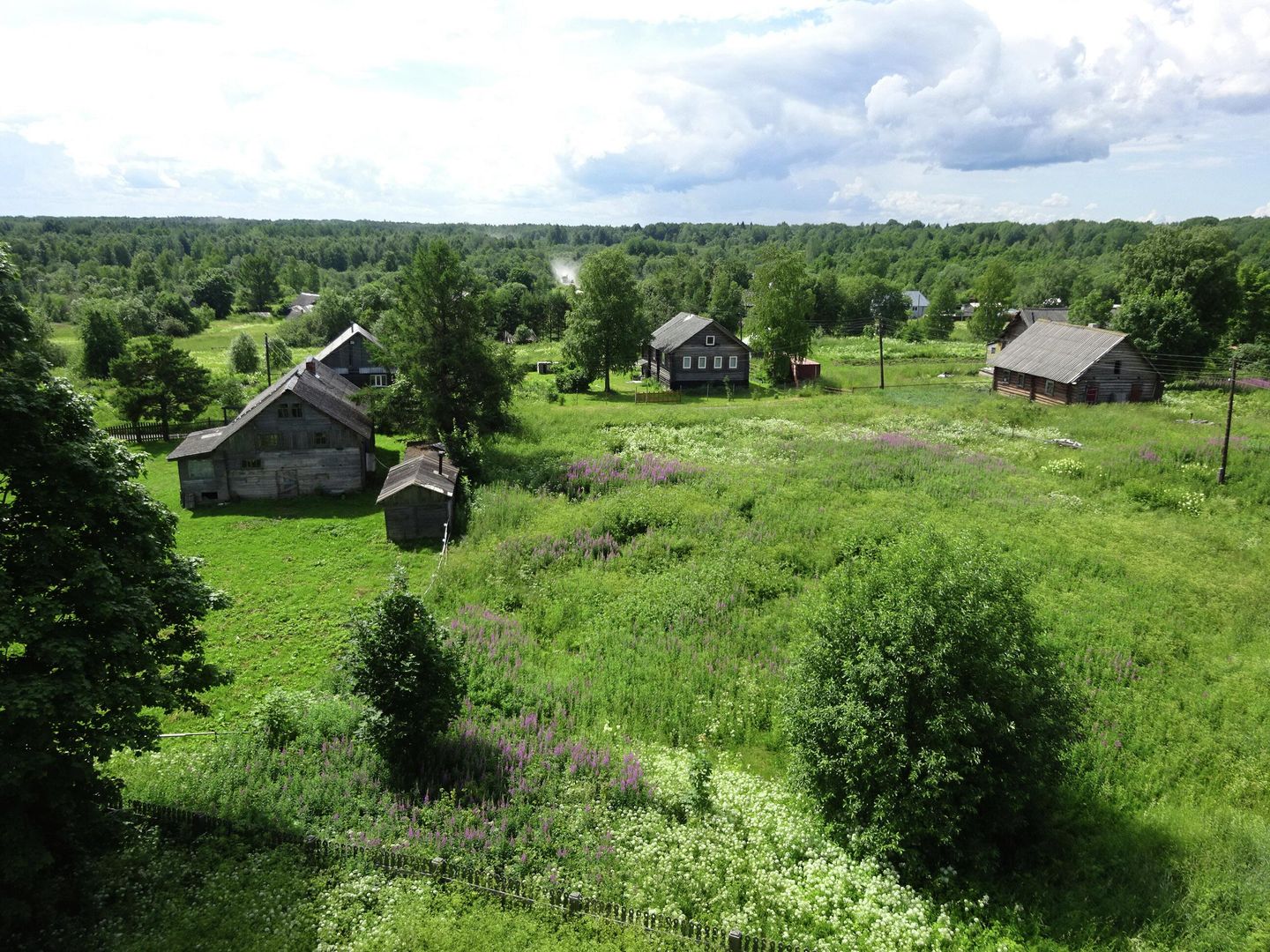 Село Щелейки, вид с колокольни Село Щелейки, вид с колокольни