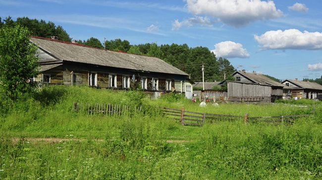 Деревня Ярославичи Деревня Ярославичи