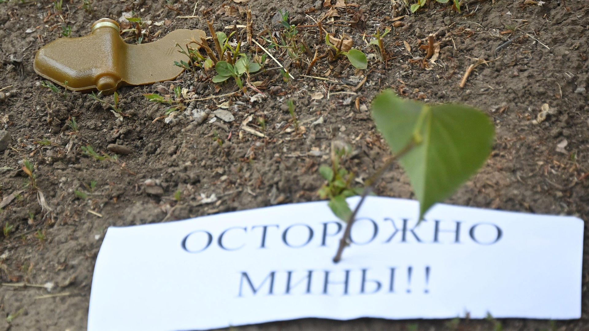 Разминирование в центре Донецка Разминирование в центре Донецка - РИА Новости, 1920, 03.08.2022