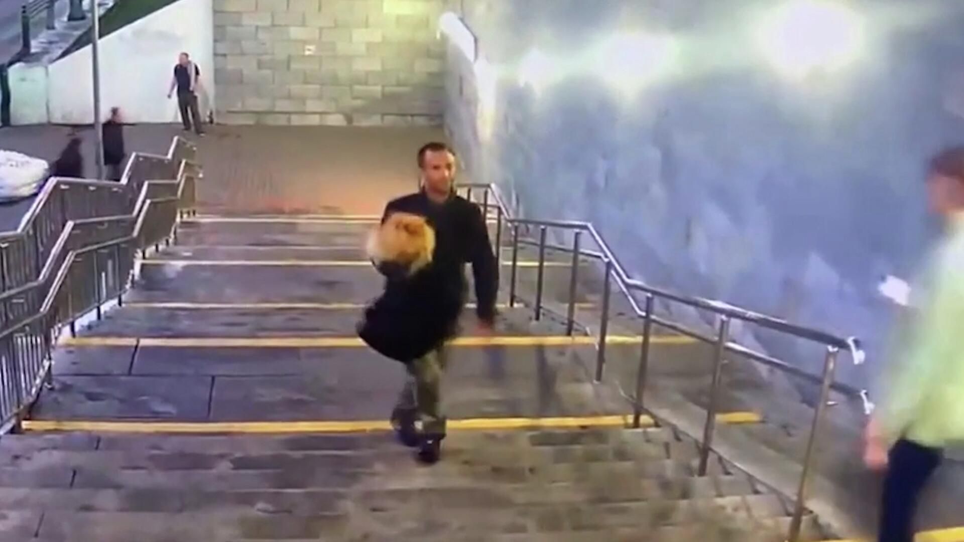 Кадры похищения собаки из квартиры на востоке Москвы. Видео МВД Кадры похищения собаки из квартиры на востоке Москвы. Видео МВД - РИА Новости, 1920, 10.08.2022