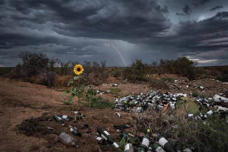 Работа фотографа Bertus Hanekom Nature Fights Back, занявшая 1 место в категории Пейзажи фотоконкурса Nature TTL Photographer of the Year 2022