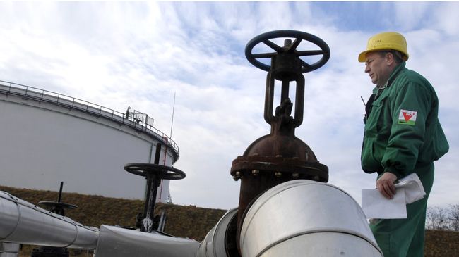 Приемная зона нефтепровода Дружба