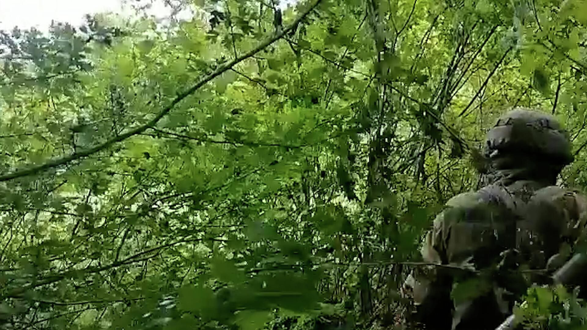 Кадры огневого налета разведчиков Народной милиции ЛНР на позиции ВСУ под Соледаром Кадры огневого налета разведчиков Народной милиции ЛНР на позиции ВСУ под Соледаром - РИА Новости, 1920, 12.08.2022