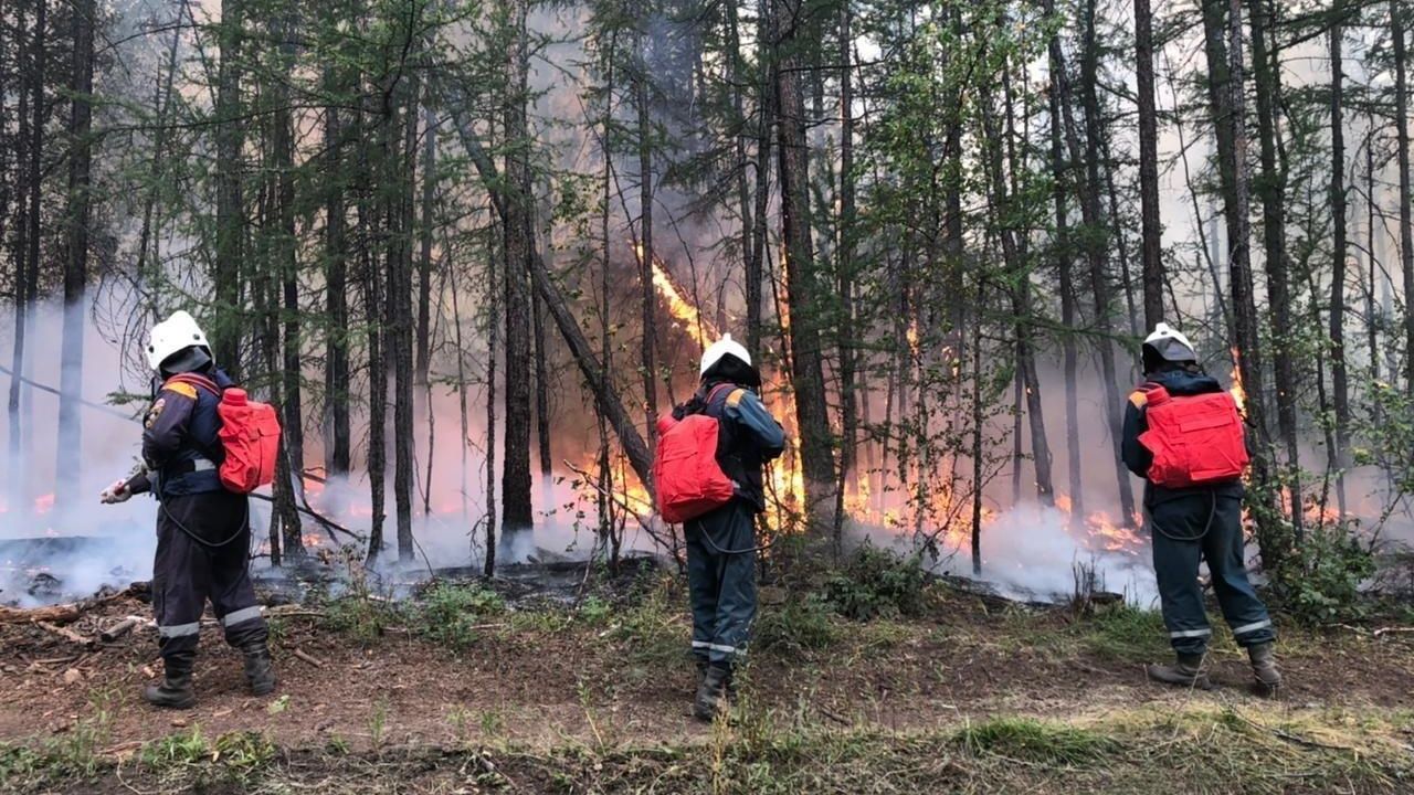 Ликвидация лесного пожара на территории Якутии Ликвидация лесного пожара на территории Якутии - РИА Новости, 1920, 21.08.2022