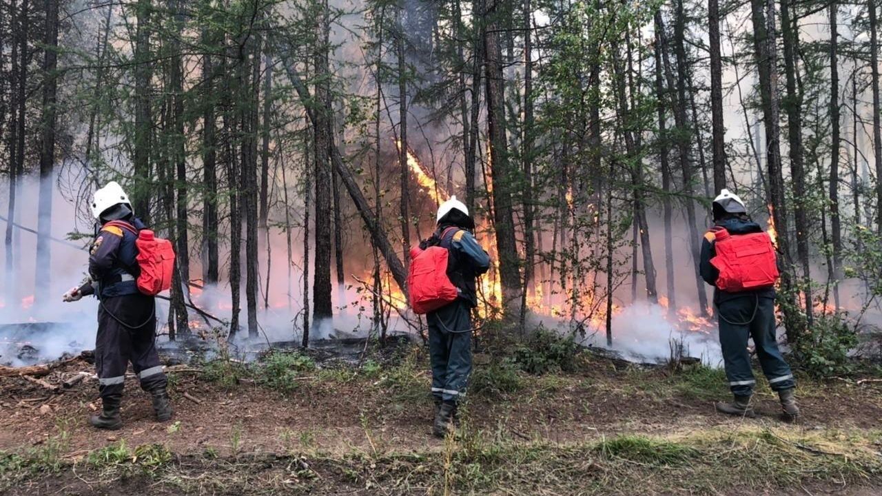 Ликвидация лесного пожара на территории Якутии Ликвидация лесного пожара на территории Якутии - РИА Новости, 1920, 14.08.2023