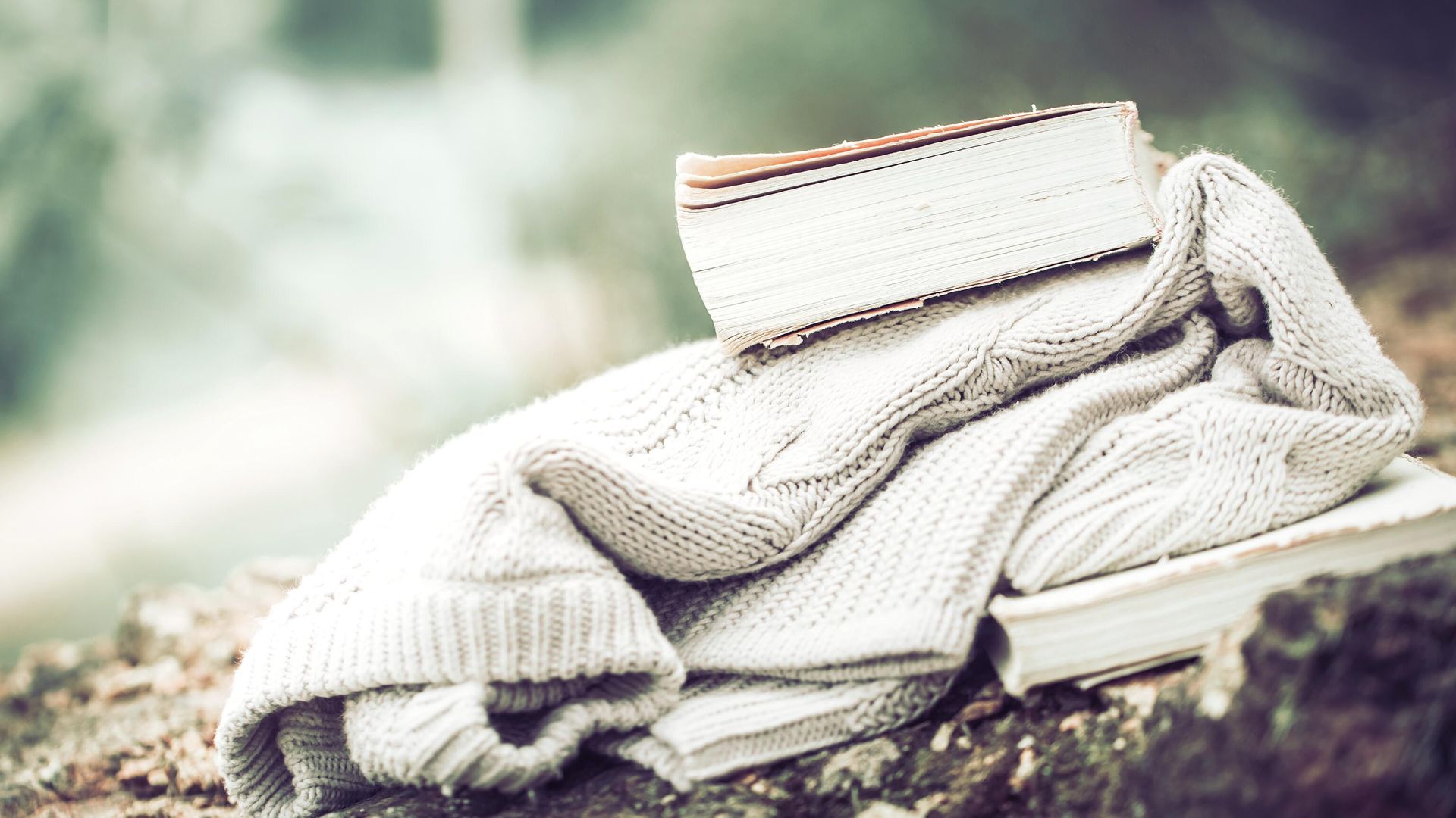 Свитер и книги - РИА Новости, 1920, 28.09.2022