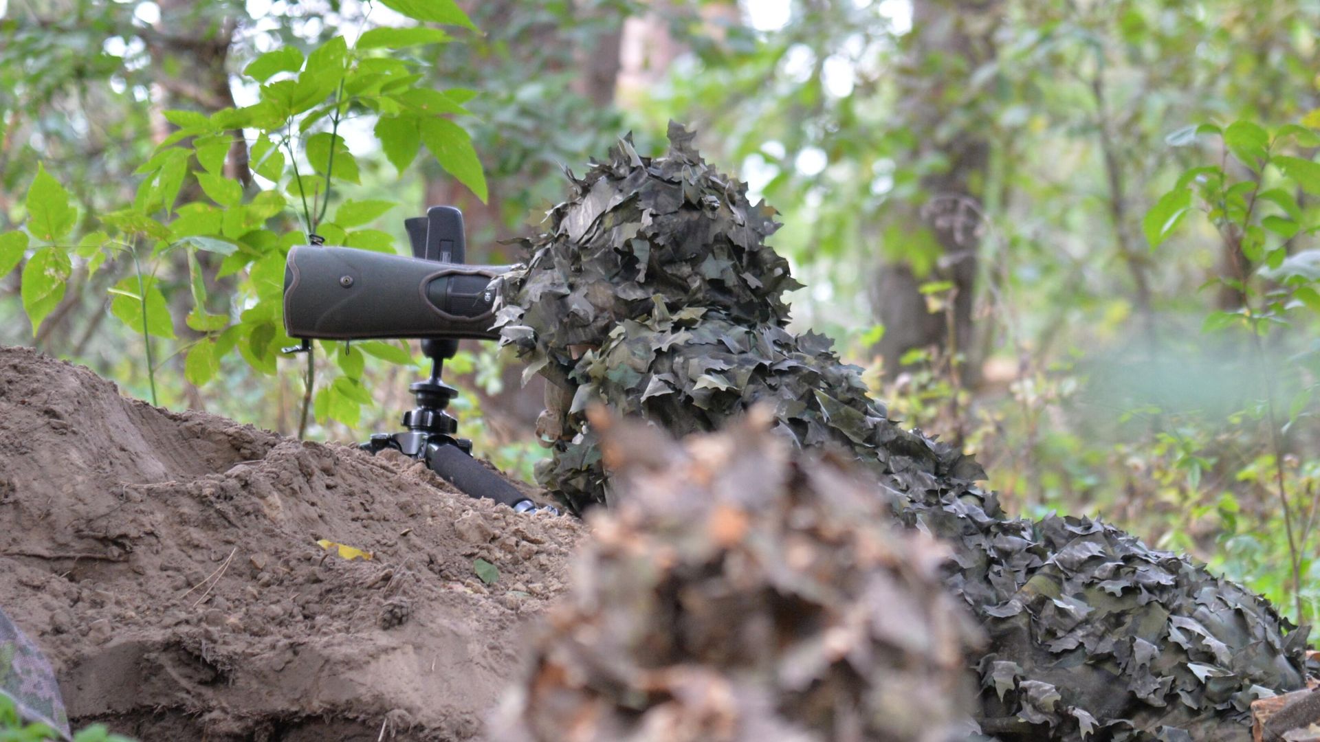 Военнослужащий ВС РФ наблюдает за позициями противника в Харьковской области Военнослужащий ВС РФ наблюдает за позициями противника в Харьковской области - РИА Новости, 1920, 07.09.2022