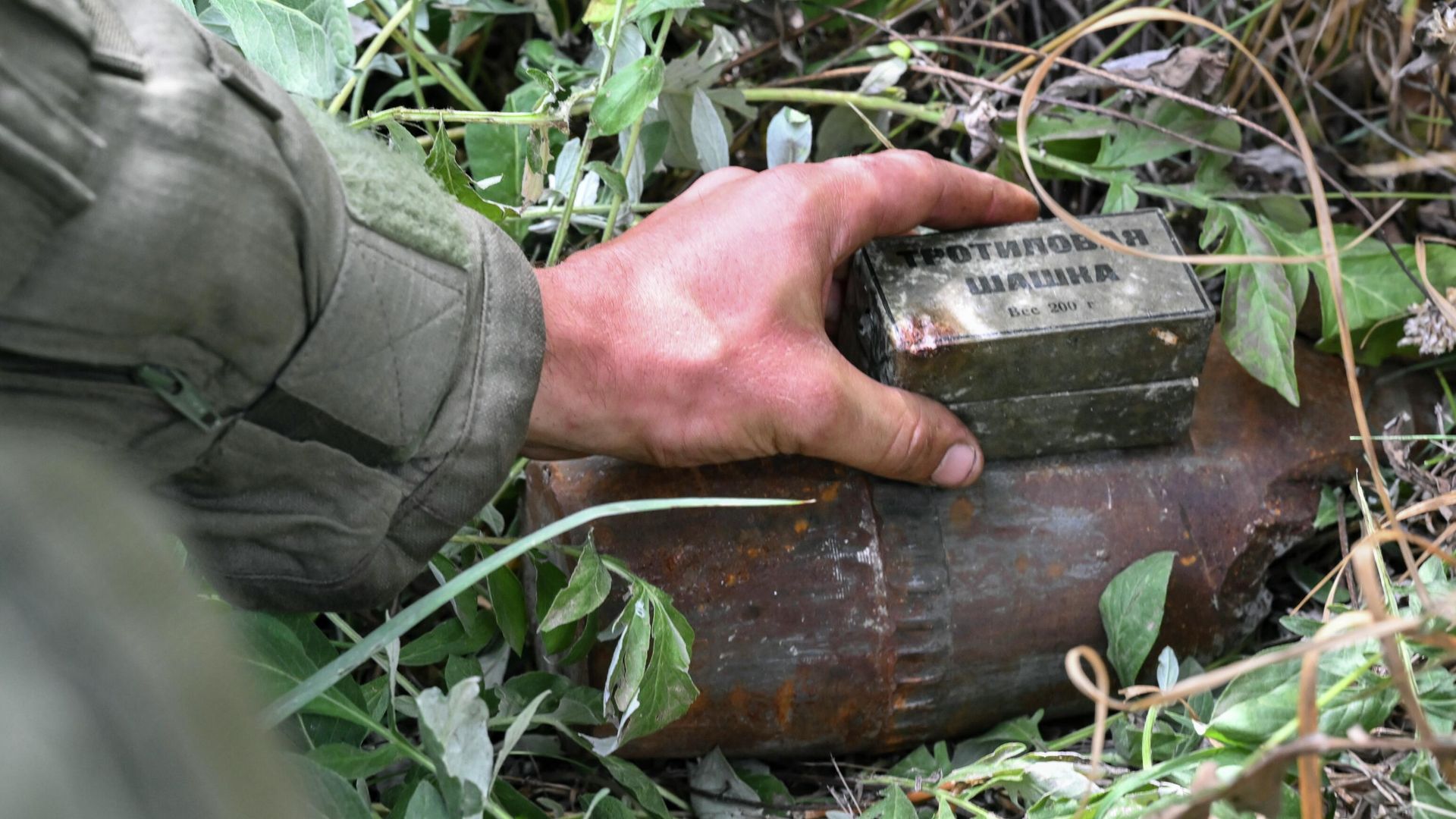Тротиловая шашка, обнаруженная военнослужащим Международного противоминного центра Вооруженных сил РФ Тротиловая шашка, обнаруженная военнослужащим Международного противоминного центра Вооруженных сил РФ - РИА Новости, 1920, 02.10.2022