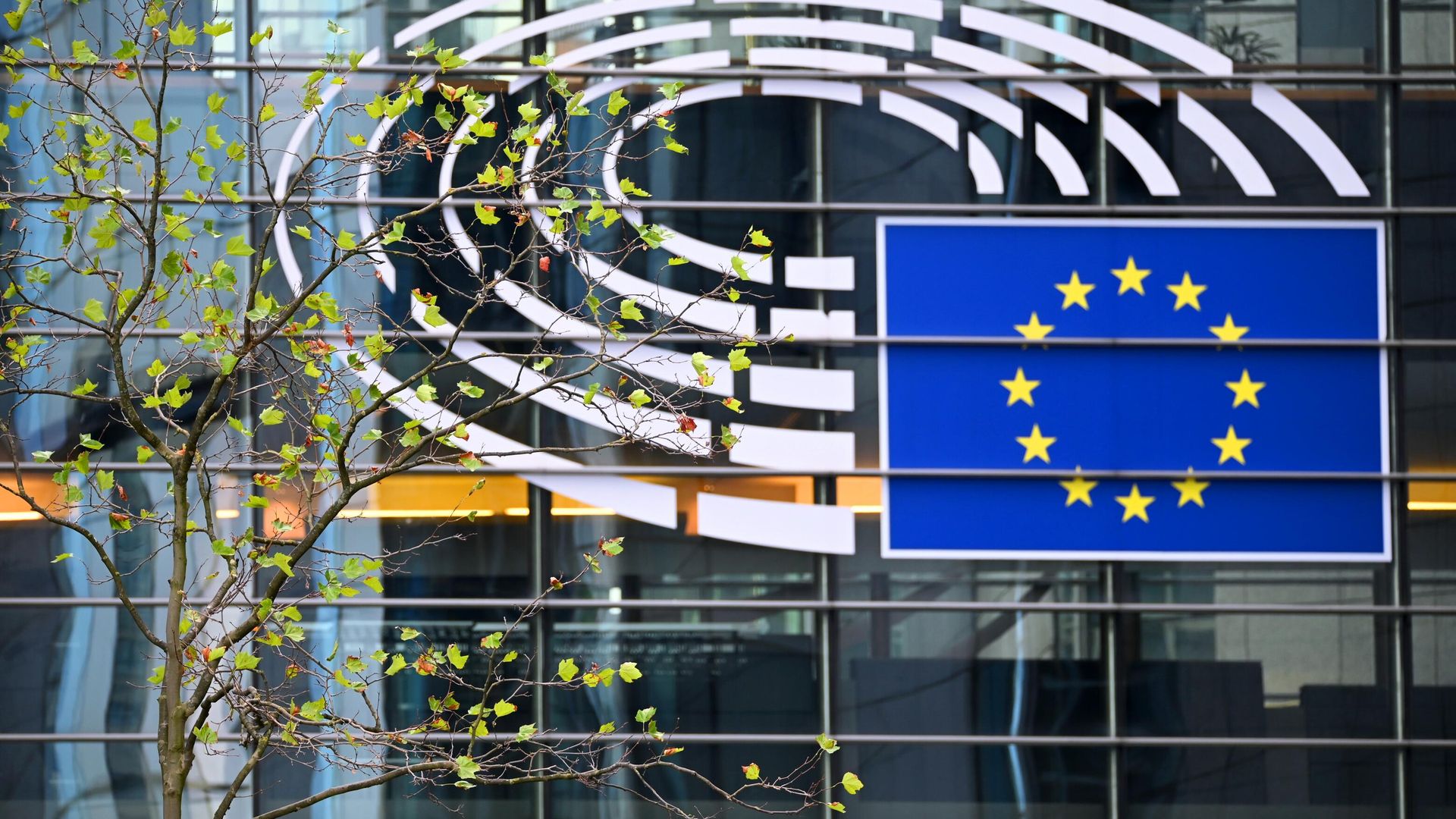 Логотип Евросоюза на здании штаб-квартиры Европейского парламента в Брюсселе Логотип Евросоюза на здании штаб-квартиры Европейского парламента в Брюсселе - РИА Новости, 1920, 16.05.2023