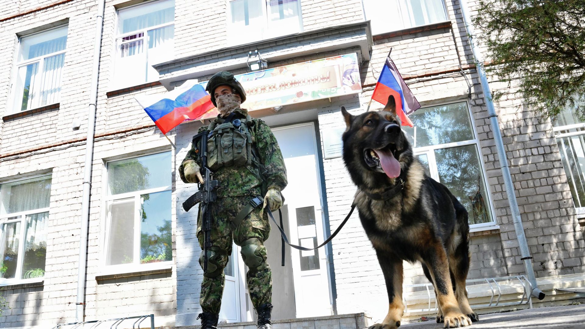 Сапер Международного противоминного центра ВС России со служебной собакой у школы № 60 в Мариуполе Сапер Международного противоминного центра ВС России со служебной собакой у школы № 60 в Мариуполе - РИА Новости, 1920, 31.08.2022