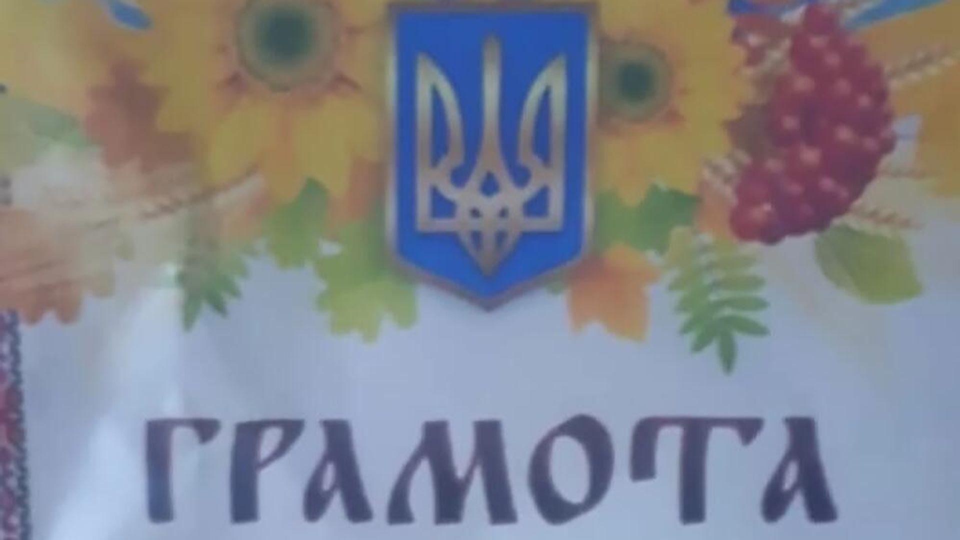 Грамота с гербом Украины, выданная за участие в конкурсе в детском саду в Чите Грамота с гербом Украины, выданная за участие в конкурсе в детском саду в Чите - РИА Новости, 1920, 02.09.2022