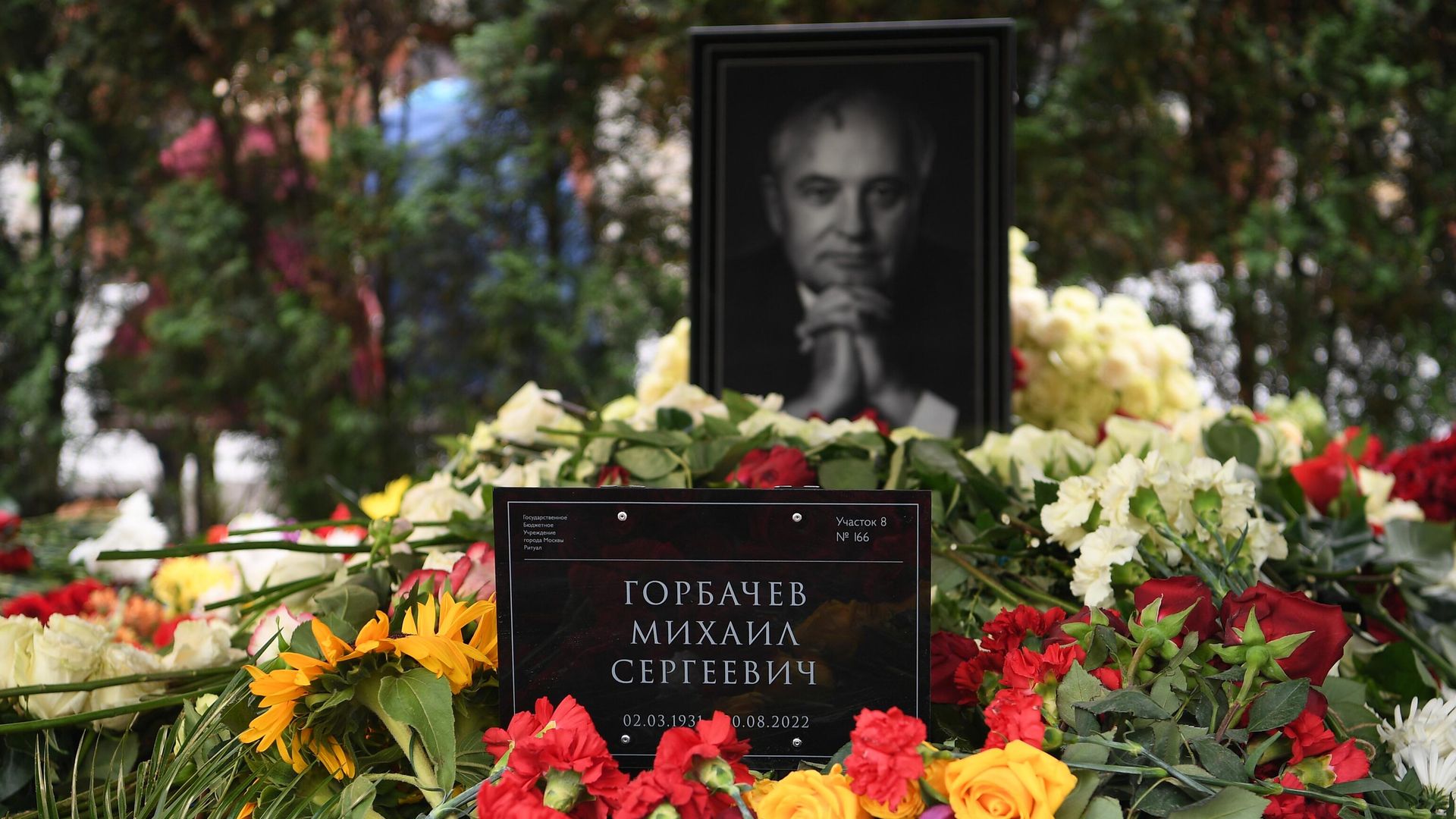 Цветы и портрет на могиле бывшего президента СССР Михаила Горбачева на Новодевичьем кладбище Цветы и портрет на могиле бывшего президента СССР Михаила Горбачева на Новодевичьем кладбище - РИА Новости, 1920, 03.09.2022