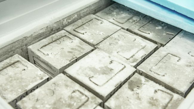 Замороженные образцы мозга Замороженные образцы мозга