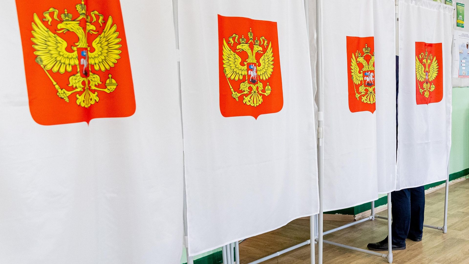 Единый день голосования в России Единый день голосования в России - РИА Новости, 1920, 08.06.2023