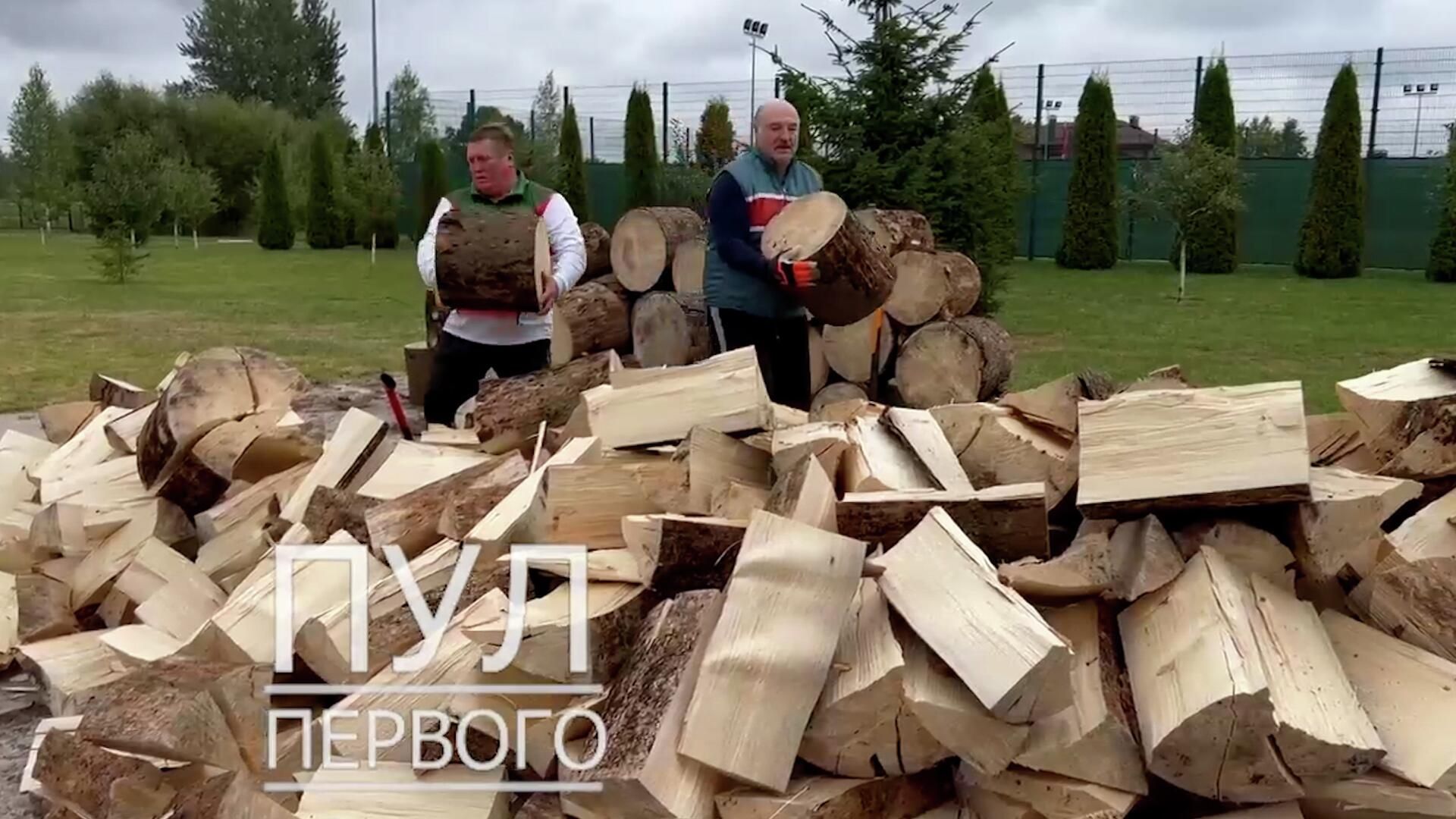 Не дадим Европе замерзнуть — Лукашенко наколол для жителей ЕС дров на зиму Не дадим Европе замерзнуть — Лукашенко наколол для жителей ЕС дров на зиму - РИА Новости, 1920, 14.09.2022