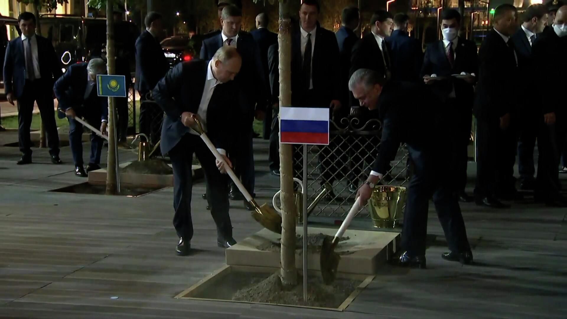 Путин и лидеры стран-участниц ШОС сажают деревья в Самарканде Путин и лидеры стран-участниц ШОС сажают деревья в Самарканде - РИА Новости, 1920, 15.09.2022