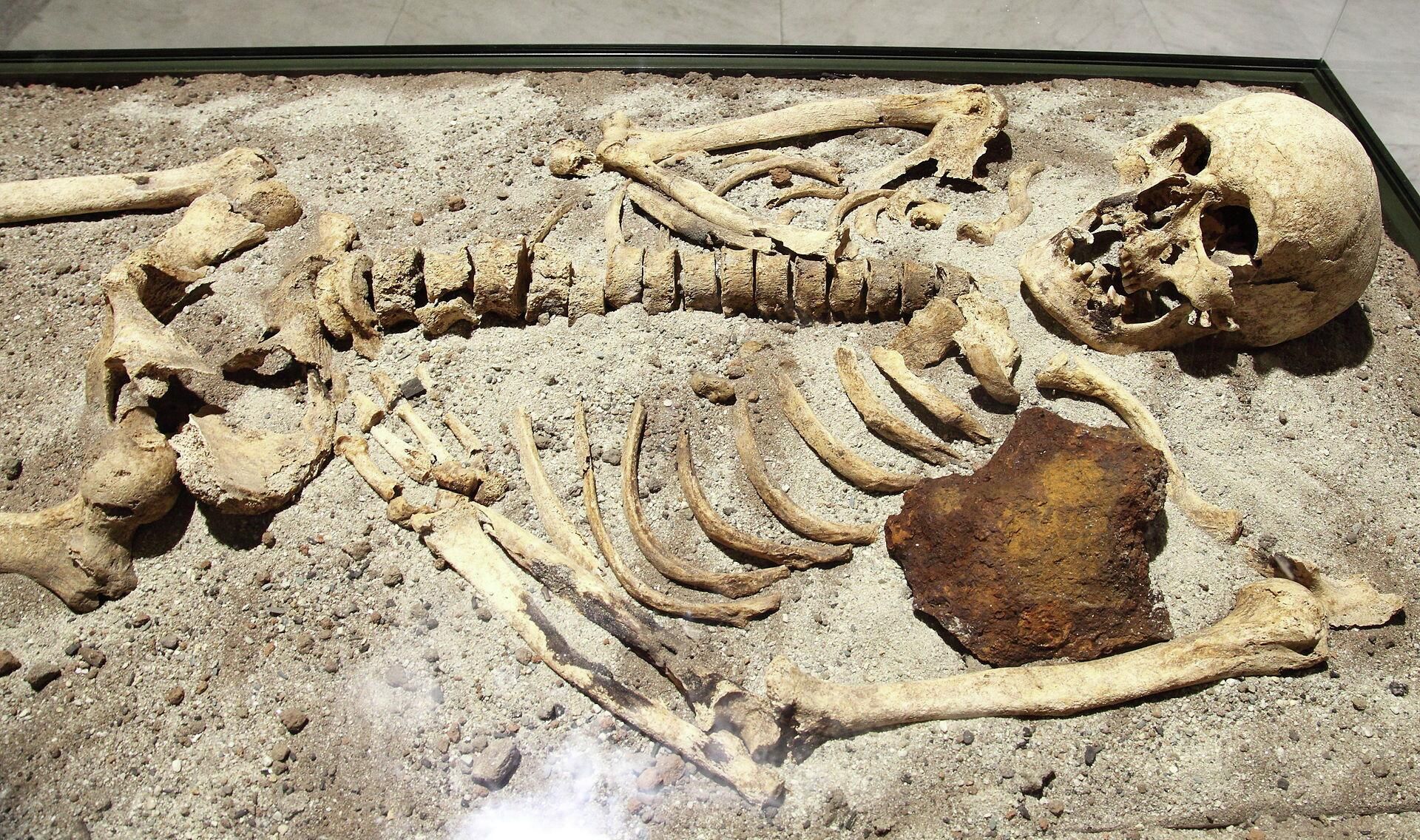 Скелет возрастом 800 лет, найденный в Болгарии - РИА Новости, 1920, 16.02.2026