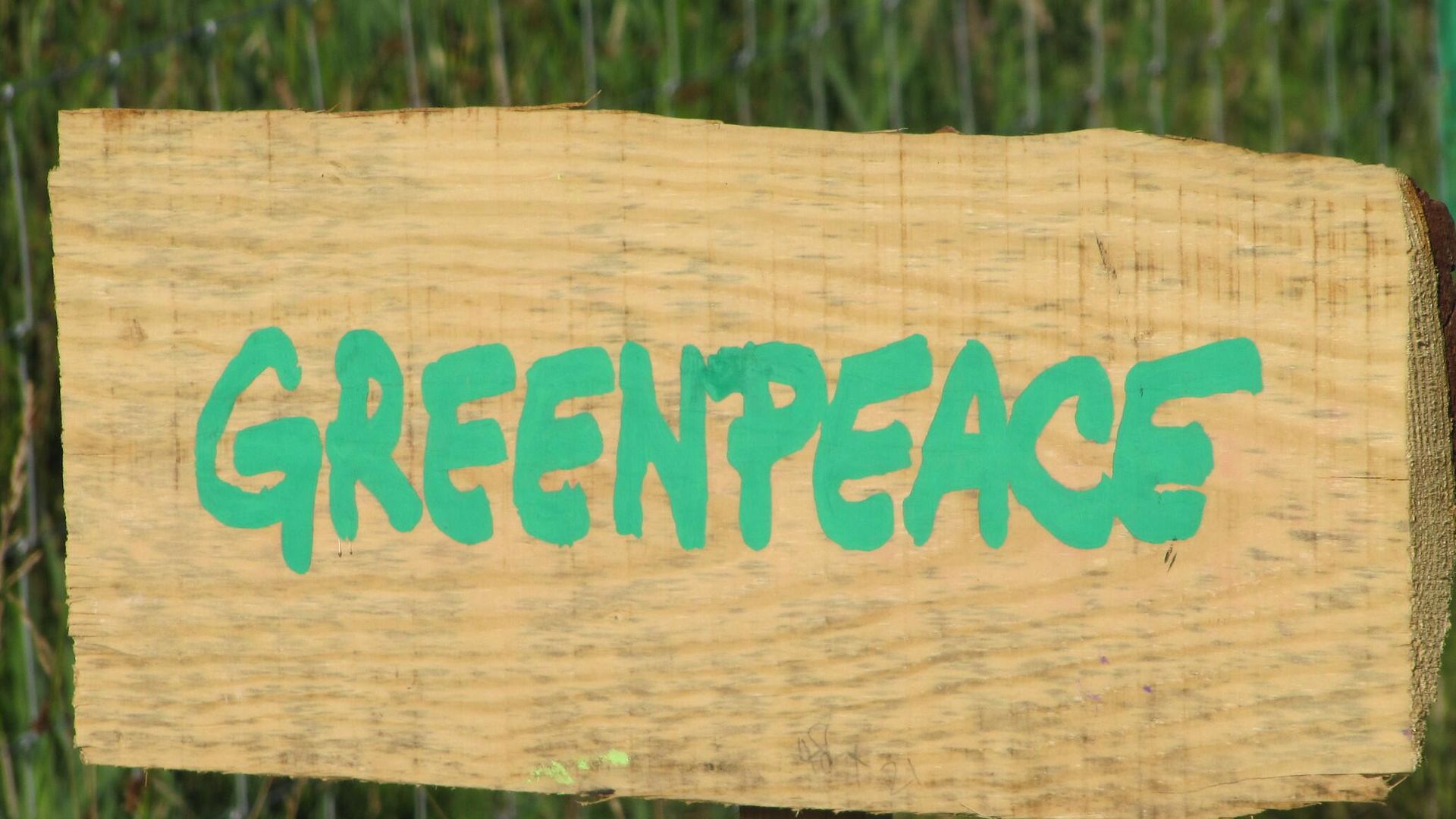 Логотип Greenpeace Логотип Greenpeace - РИА Новости, 1920, 20.05.2023