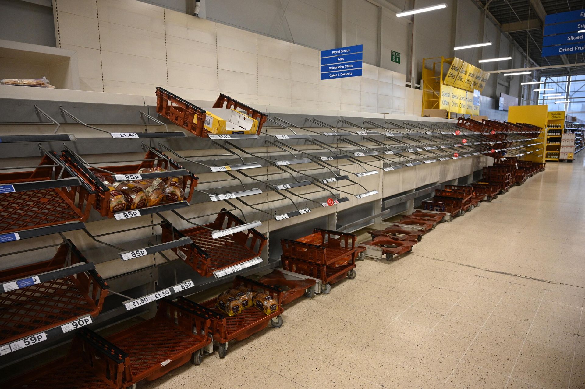 Пустые полки в хлебном отделе в супермаркете в Стокпорте, Великобритания Пустые полки в хлебном отделе в супермаркете в Стокпорте, Великобритания - РИА Новости, 1920, 26.09.2022