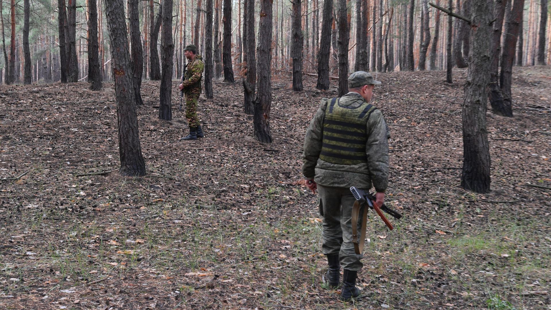 Бойцы полка Народной милиции ЛНР возле позиций в лесу Бойцы полка Народной милиции ЛНР возле позиций в лесу - РИА Новости, 1920, 12.11.2022