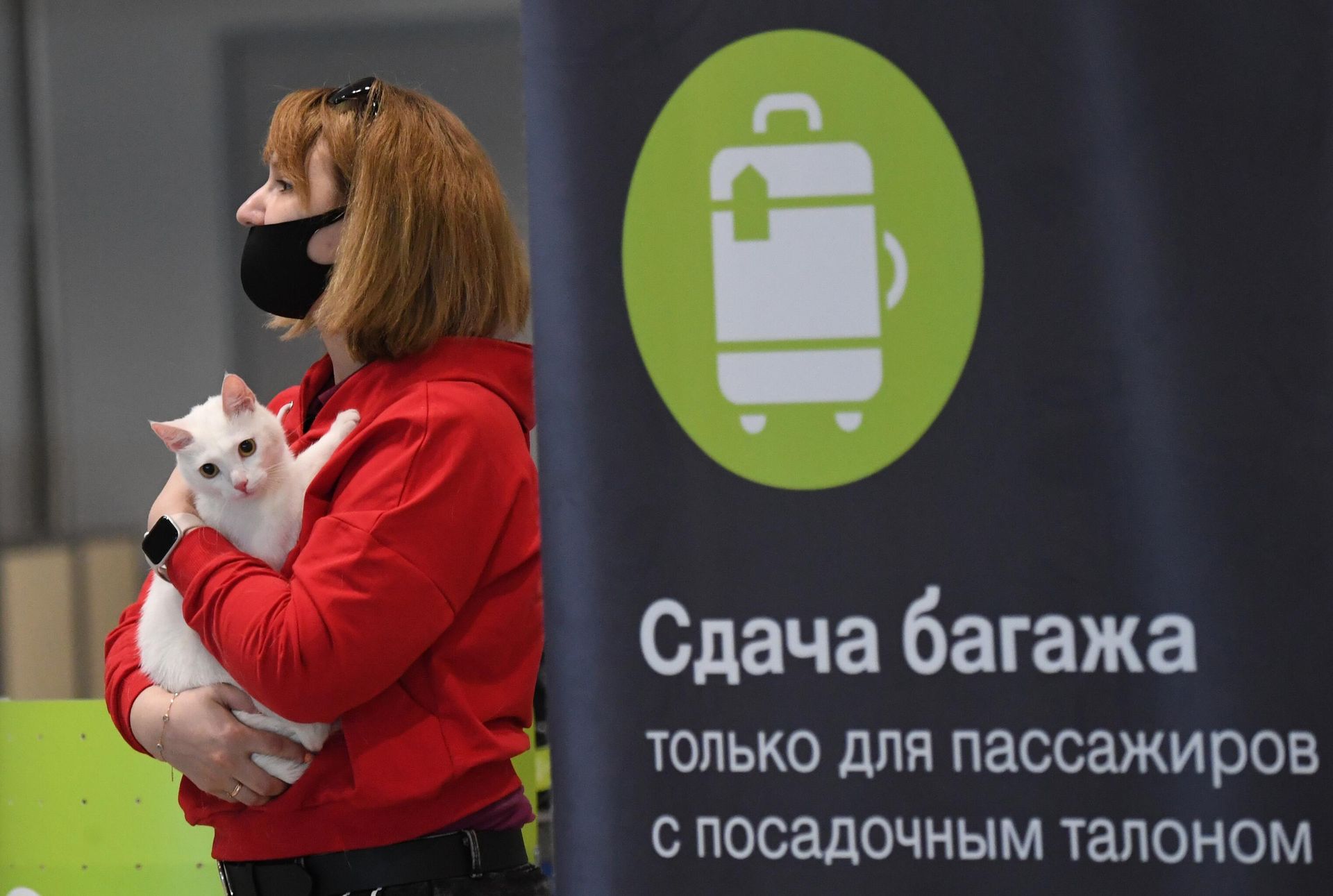 Женщина с кошкой в аэропорту Домодедово Женщина с кошкой в аэропорту Домодедово - РИА Новости, 1920, 03.10.2022