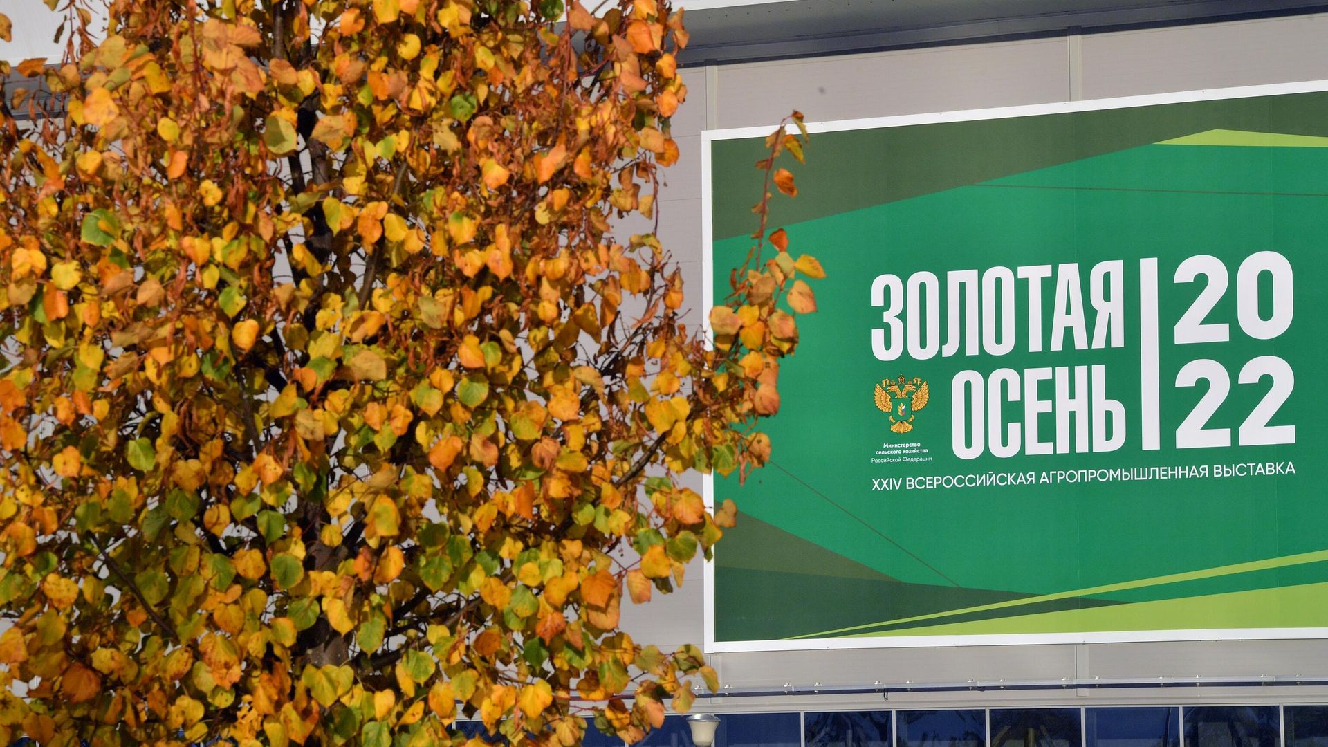 XXIV Всероссийская агропромышленная выставка Золотая осень 2022 XXIV Всероссийская агропромышленная выставка Золотая осень 2022 - РИА Новости, 1920, 06.10.2022
