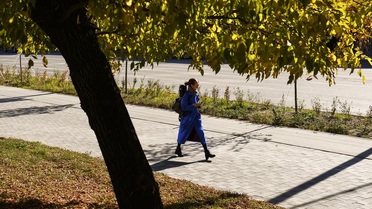 Девушка прогуливается по улице в Новосибирске Девушка прогуливается по улице в Новосибирске