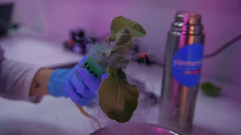 Демонстрация методов молекулярной кулинарии для изменения структуры продукта в рамках дегустации, которая прошла на открытии Демонстрация методов молекулярной кулинарии для изменения структуры продукта в рамках дегустации, которая прошла на открытии