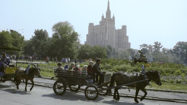 Круг катания на пони в Московском зоопарке