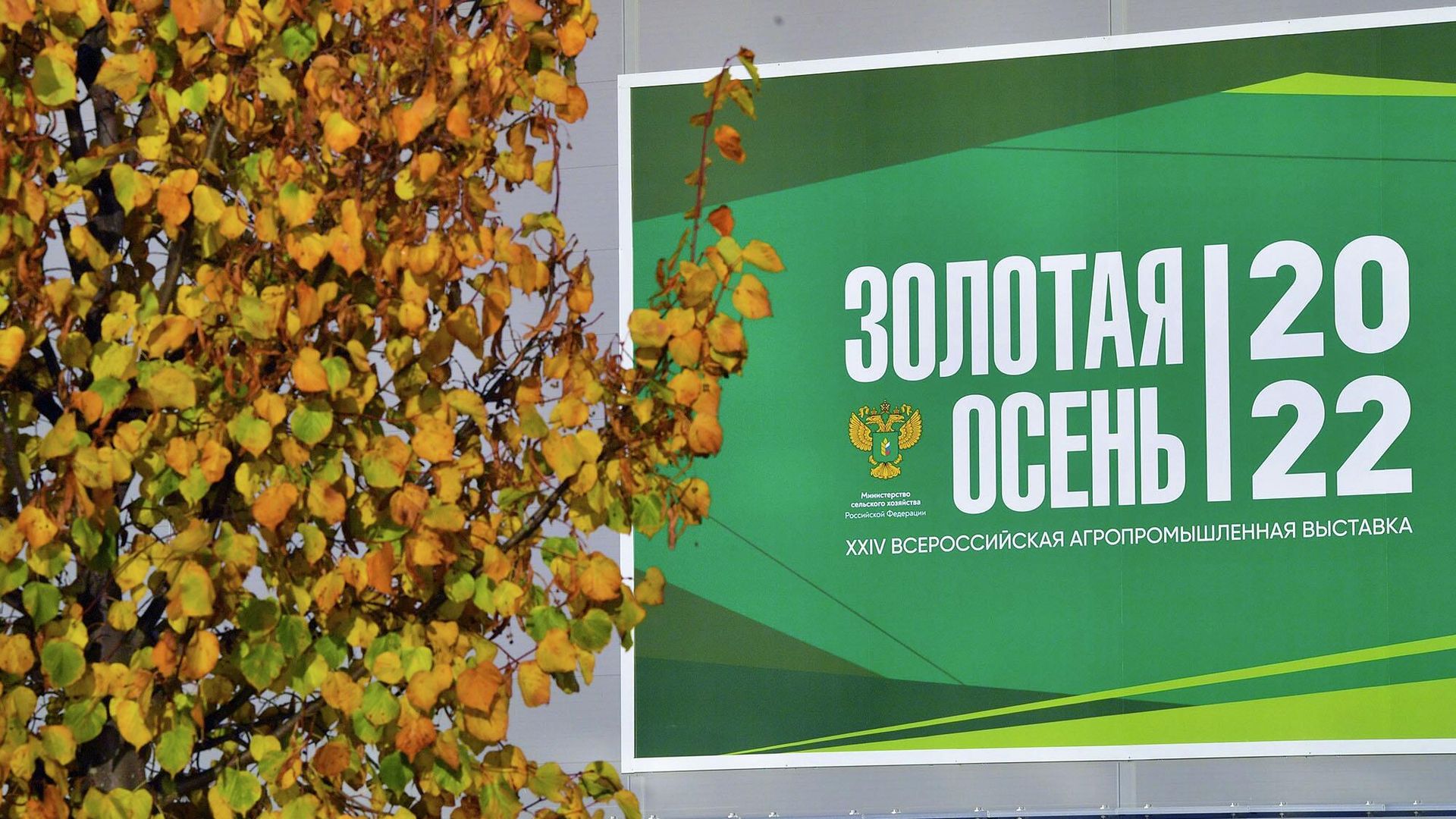 Всероссийская агропромышленная выставка Золотая осень 2022 Всероссийская агропромышленная выставка Золотая осень 2022 - РИА Новости, 1920, 12.10.2022