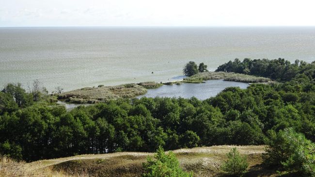 Вид на озеро Лебедь и Куршский залив со смотровой площадки Вид на озеро Лебедь и Куршский залив со смотровой площадки