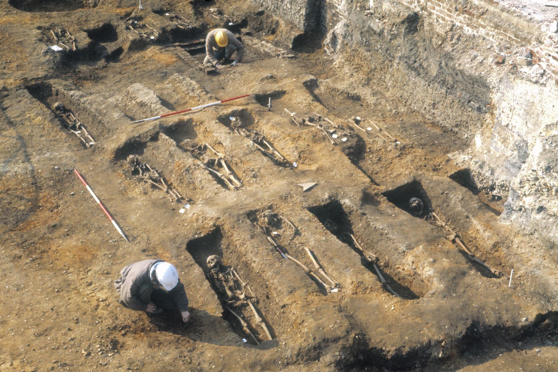 Останки жертв чумы из массовых захоронений 1348-1349 гг. Останки жертв чумы из массовых захоронений 1348-1349 гг. - РИА Новости, 1920, 21.10.2022