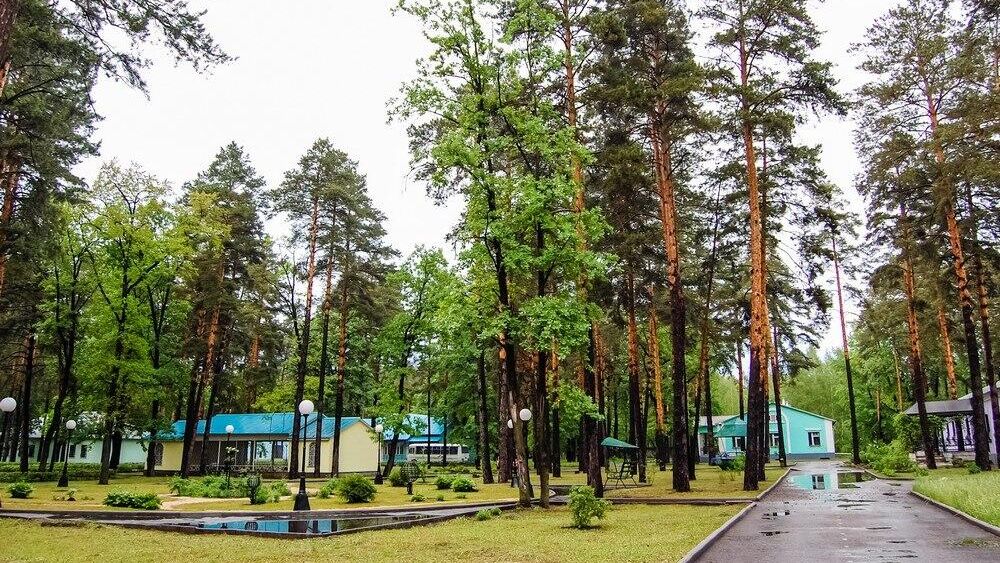 Оздоровительный центр Сосновый бор в Липецкой области Оздоровительный центр Сосновый бор в Липецкой области - РИА Новости, 1920, 26.10.2022