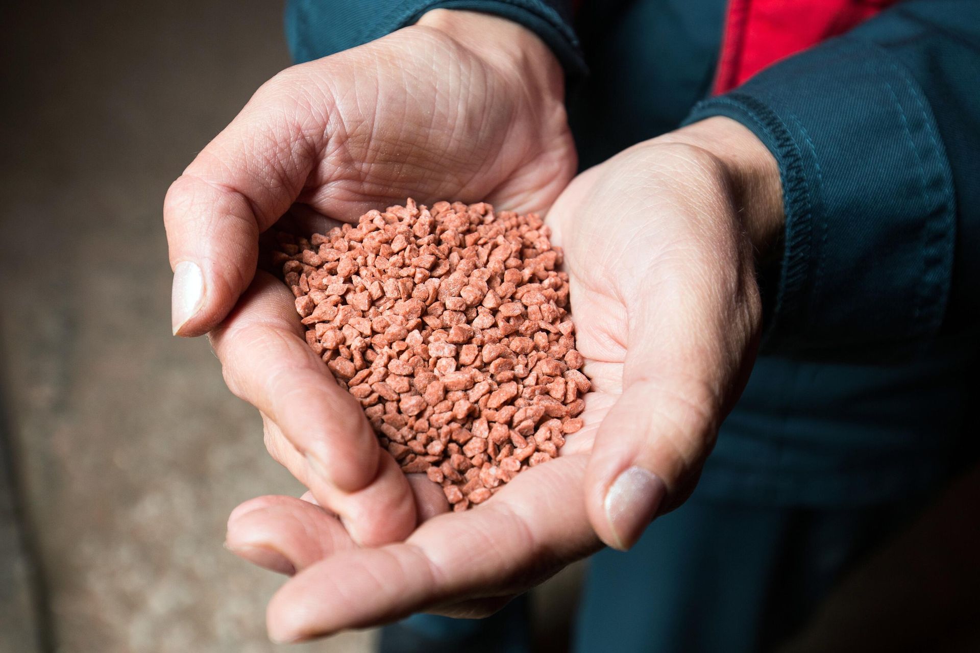 Гранулированные калийные удобрения на складе готовой продукции на Сильвинитовой обогатительной фабрике в Пермском крае - РИА Новости, 1920, 20.10.2025
