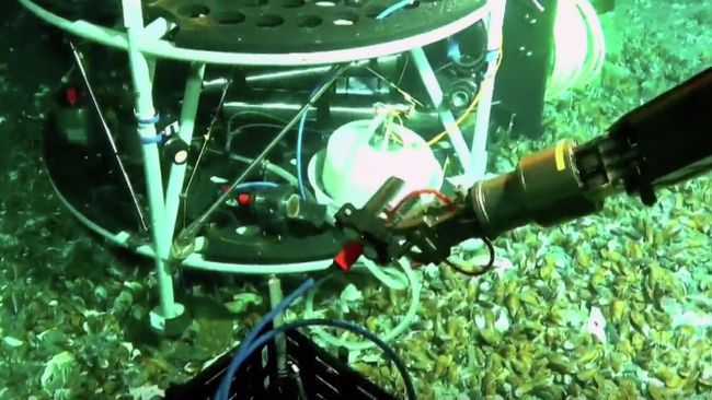 Китайские исследователи развернули на морском дне научную станцию