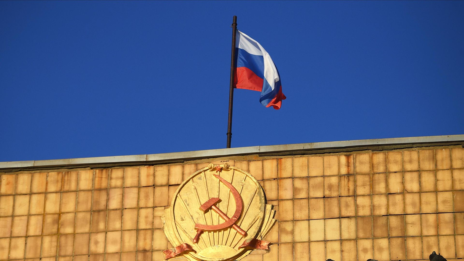 Российский триколор на здании городской администрации в Амвросиевке Российский триколор на здании городской администрации в Амвросиевке - РИА Новости, 1920, 09.11.2023