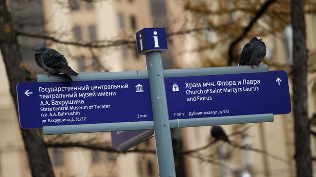 Голуби сидят на указателе