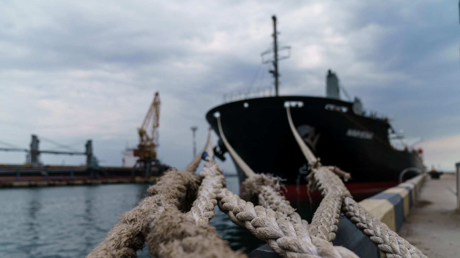 Корабль Navi-Star с украинским зерном у причала Одесского морского порта, Украина Корабль Navi-Star с украинским зерном у причала Одесского морского порта, Украина - РИА Новости, 1920, 03.11.2022