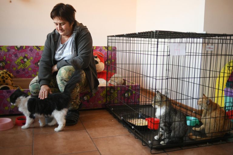 Руководитель приюта Кошкин дом Евгения Михайлова с подопечными приюта в Донецке Руководитель приюта Кошкин дом Евгения Михайлова с подопечными приюта в Донецке
