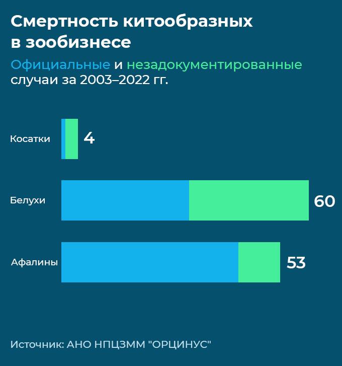 Смертность китообразных в зообизнесе