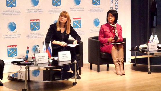 Вице-губернатор Ленинградской области по внутренней политике Анна Данилюк на X Балтийском форуме соотечественников Вице-губернатор Ленинградской области по внутренней политике Анна Данилюк на X Балтийском форуме соотечественников - РИА Новости, 1920, 18.11.2022