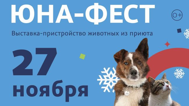 Афиша выставки бездомных животных Юна-Фест