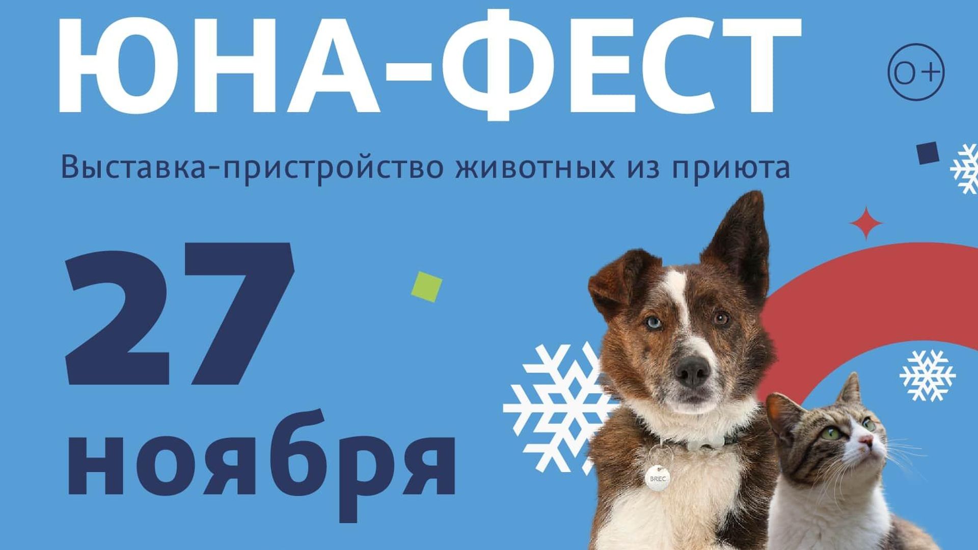 Афиша выставки бездомных животных Юна-Фест Афиша выставки бездомных животных Юна-Фест - РИА Новости, 1920, 21.11.2022