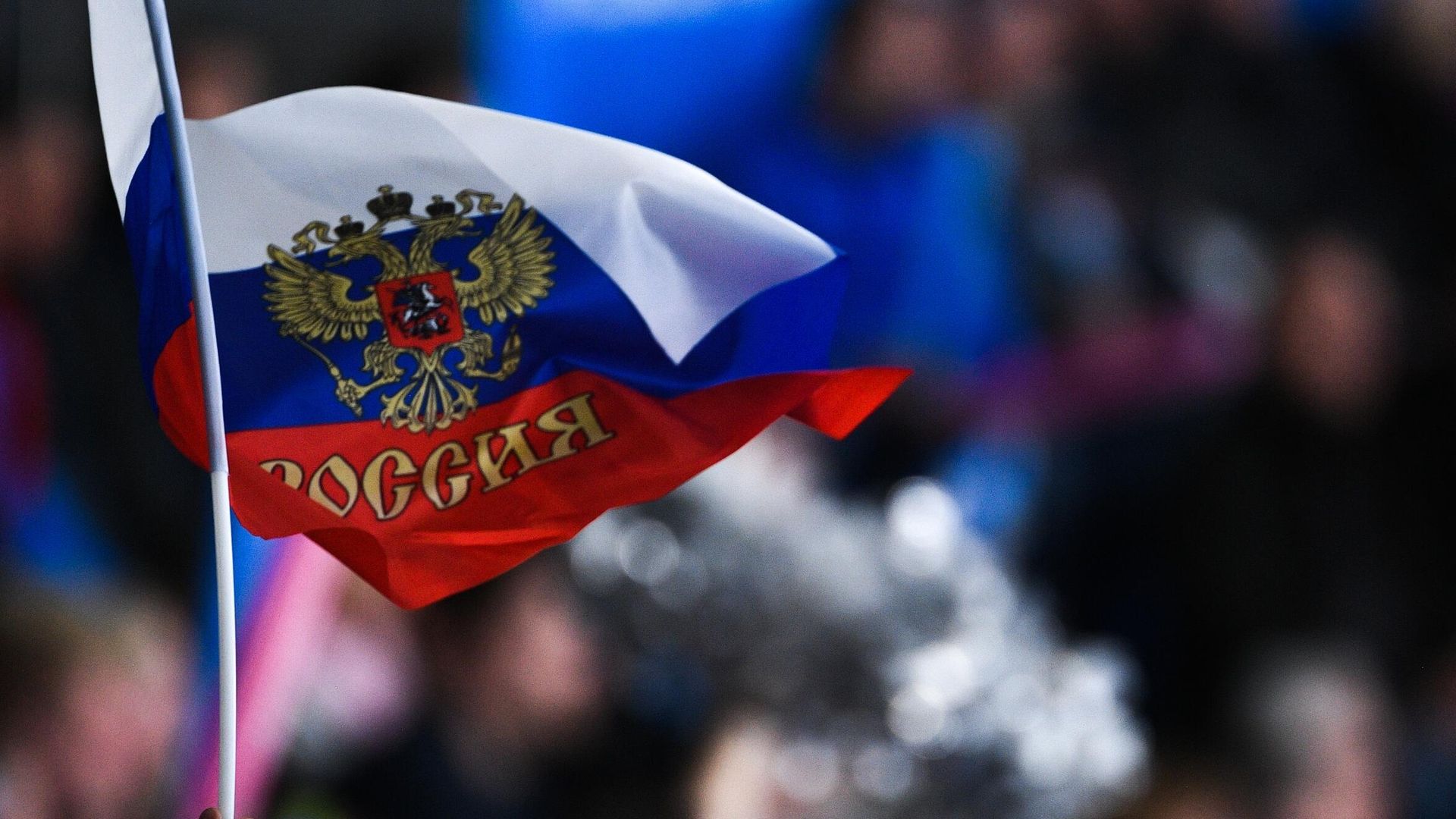 Российский флаг в руке болельщика Российский флаг в руке болельщика - РИА Новости, 1920, 26.11.2022