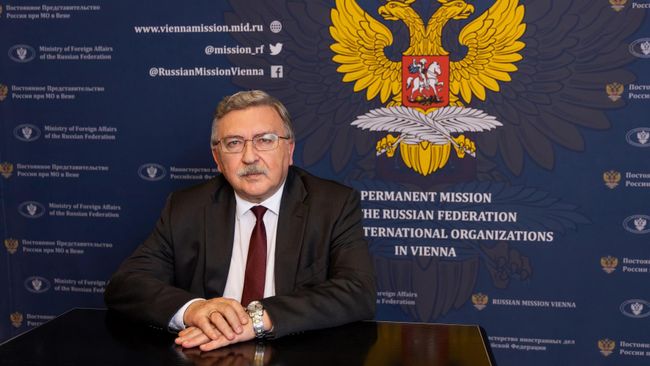 Постпред России при международных организациях в Вене Михаил Ульянов