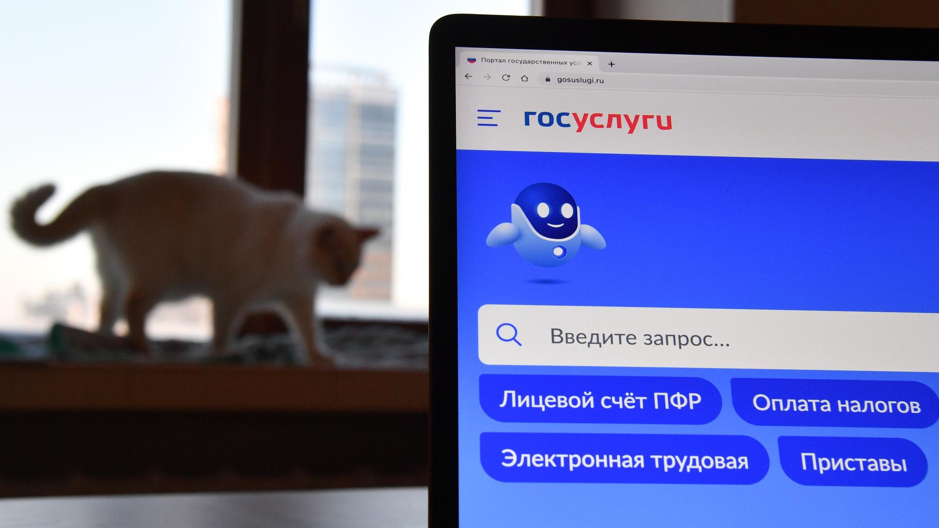 Справочно-информационный интернет-портал Госуслуги Справочно-информационный интернет-портал Госуслуги - РИА Новости, 1920, 20.11.2024