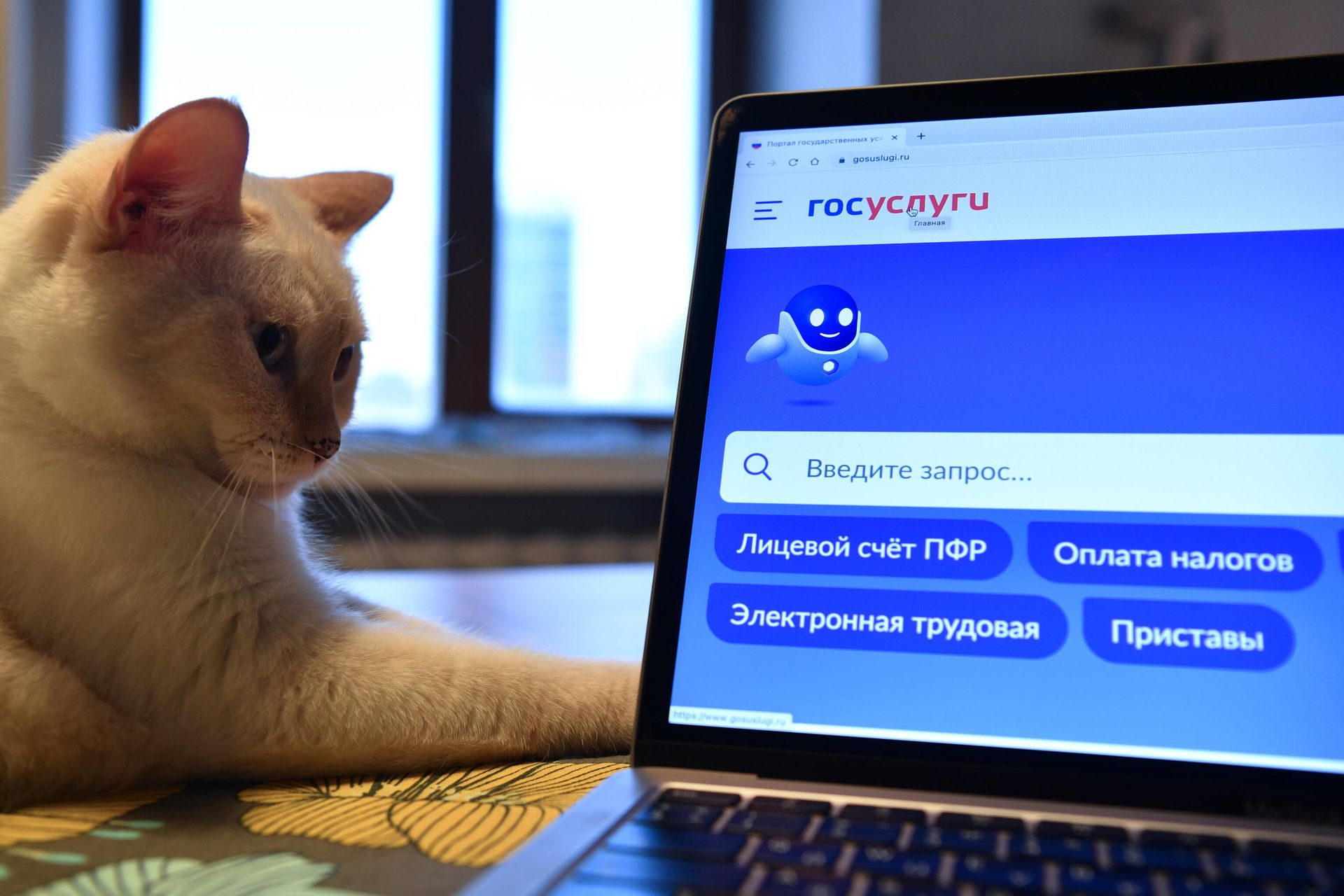 Справочно-информационный интернет-портал Госуслуги Справочно-информационный интернет-портал Госуслуги - РИА Новости, 1920, 31.08.2023