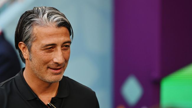 Футбол. Чемпионат мира. Матч Швейцария - Камерун