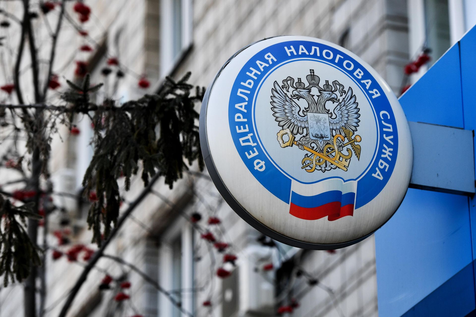 Логотип Федеральной налоговой службы Логотип Федеральной налоговой службы - РИА Новости, 1920, 01.04.2026